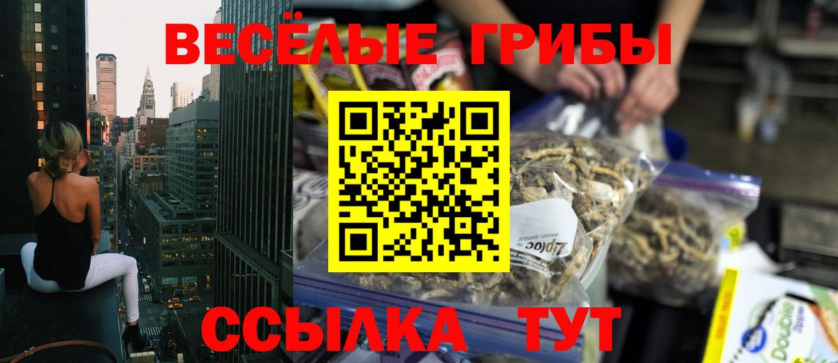 Псилоцибиновые грибы Psilocybe Таганрог